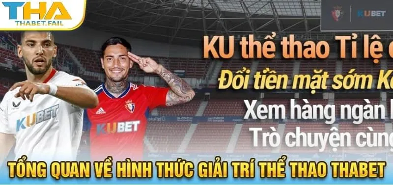 Khái quát về loại hình giải trí thể thao Thabet.