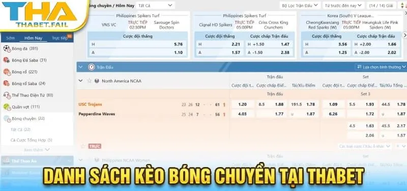Danh sách kèo bóng chuyền tại Thabet được tổng hợp đầy đủ.