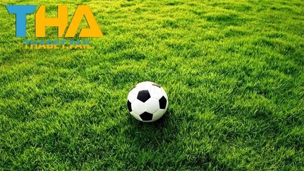 Cá Cược Bóng Đá Cỏ 2025: Từ Cơ Bản Đến Chuyên Sâu 2 Lợi ích của việc tham gia cá cược bóng đá cỏ là gì?