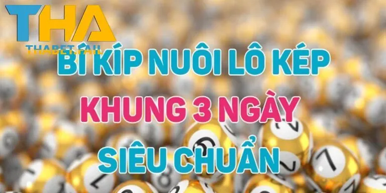 Mẹo Nuôi Lô Kép Khung 3 Ngày Hiệu Quả Tại Thabet 2 Các hình thức lô kép thông dụng mà người chơi hay lựa chọn