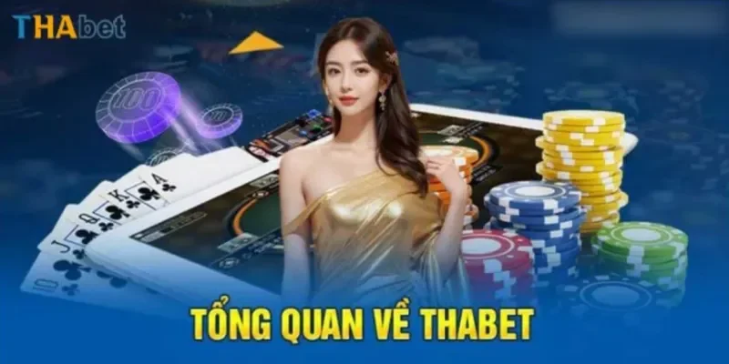 THABET – Tổng quan về thương hiệu giải trí trực tuyến hàng đầu 2025